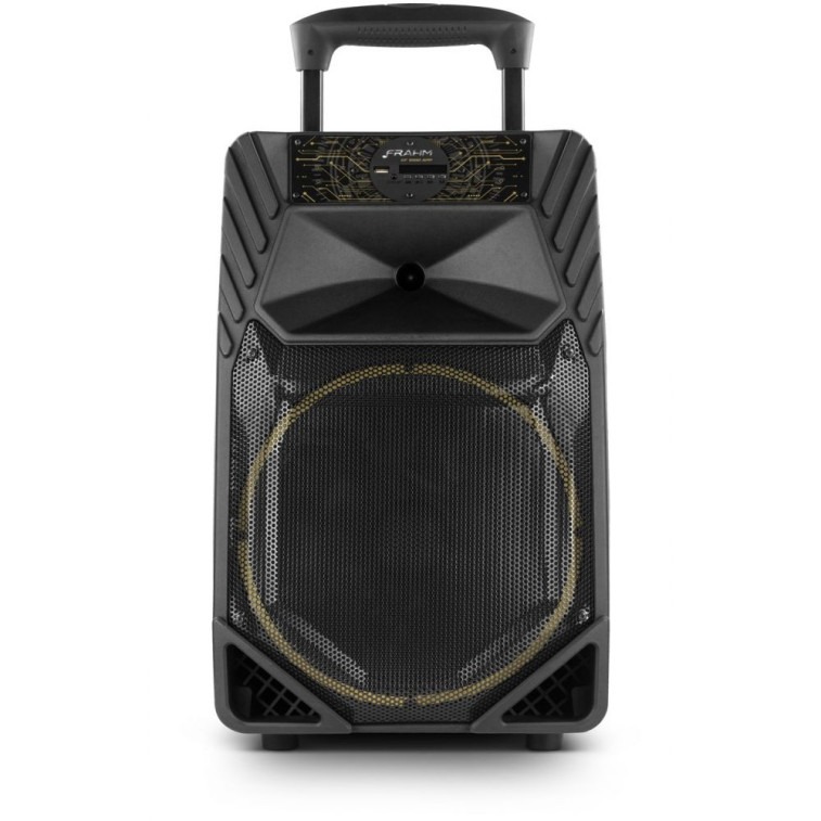 Caixa de Som Frahm Amplificada Multiuso 500W RMS Portátil Bivolt