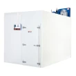 Câmara Fria Gallant 2x3 Resfriado c/ Piso Cond Danf 220V/1F